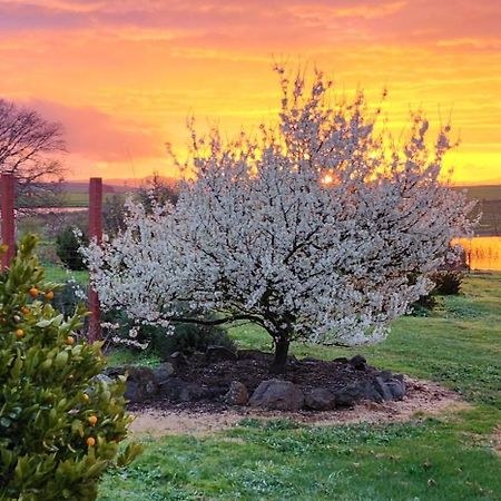 New Horizons Farm Stay Smeaton Extérieur photo