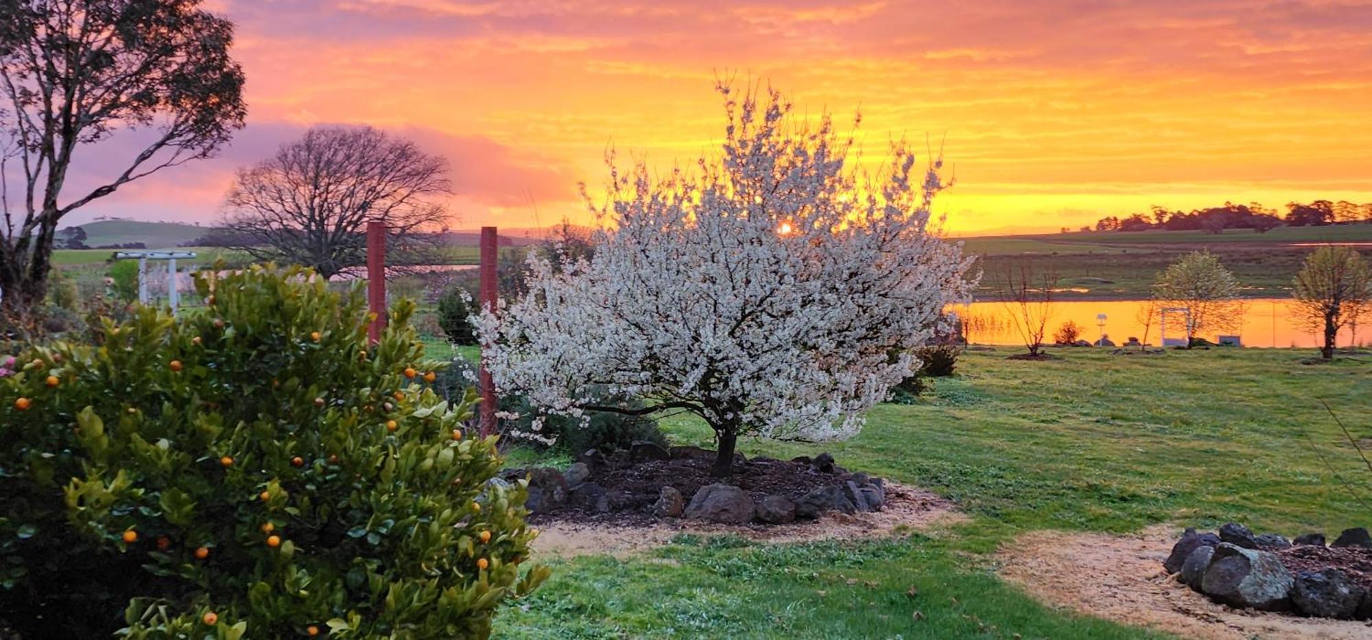 New Horizons Farm Stay Smeaton Extérieur photo
